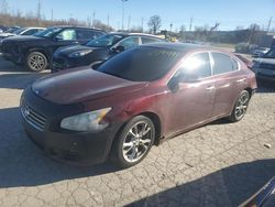 Nissan Maxima salvage cars for sale: 2013 Nissan Maxima S