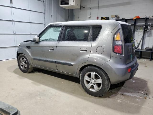 2010 KIA Soul +