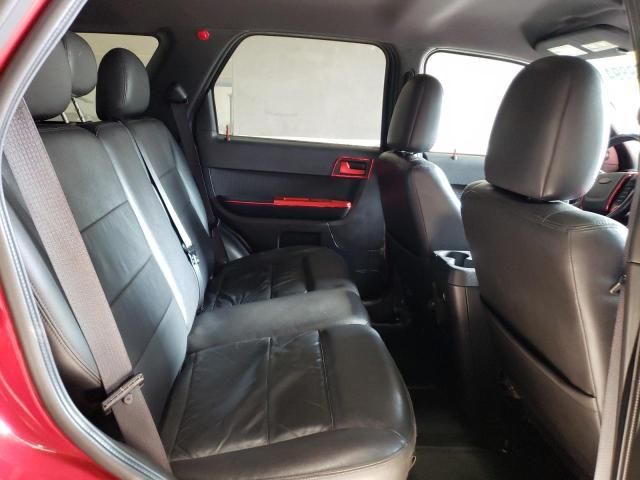 2010 Ford Escape Limited