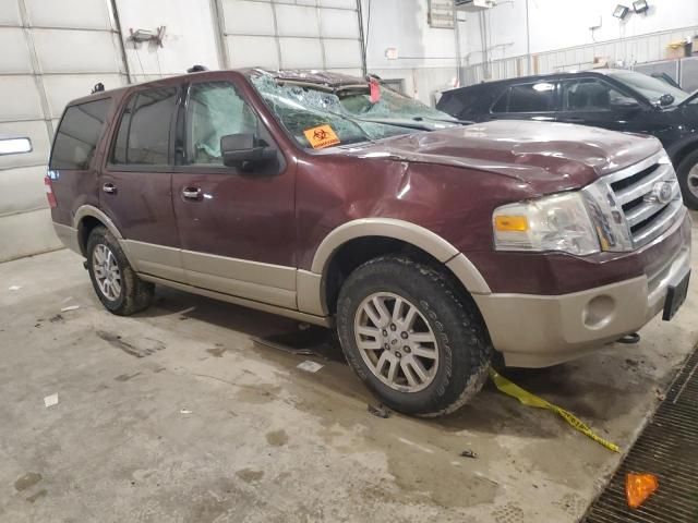 2010 Ford Expedition Eddie Bauer