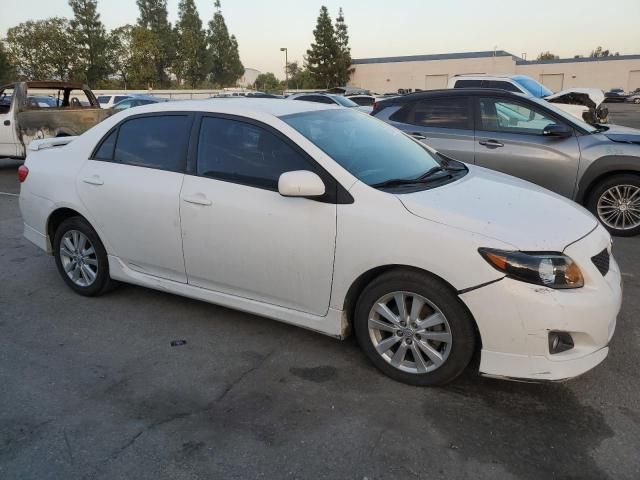 2010 Toyota Corolla Base