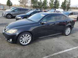 Vehiculos salvage en venta de Copart Rancho Cucamonga, CA: 2010 Lexus IS 250