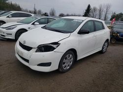 Toyota Corolla salvage cars for sale: 2011 Toyota Corolla Matrix