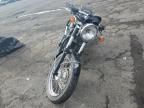 2004 Triumph 2004 Triumph Motorcycle Bonneville