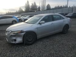 Toyota Camry Base salvage cars for sale: 2010 Toyota Camry Base