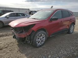 Ford Escape salvage cars for sale: 2023 Ford Escape Active