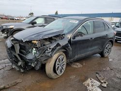 Ford Escape sel salvage cars for sale: 2020 Ford Escape SEL