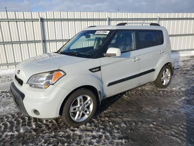 2011 KIA Soul +