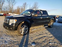 Salvage cars for sale from Copart Cicero, IN: 2013 Ford F150 Supercrew