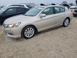 Honda Accord salvage cars for sale: 2013 Honda Accord EXL