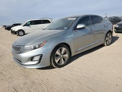 Salvage cars for sale from Copart Amarillo, TX: 2014 KIA Optima Hybrid