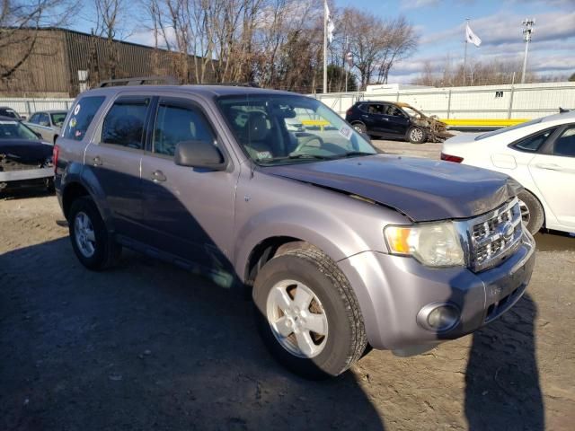 2008 Ford Escape XLT