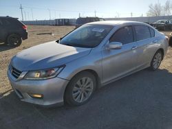 Honda salvage cars for sale: 2013 Honda Accord EXL