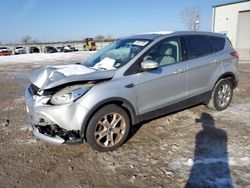 Ford Escape sel salvage cars for sale: 2013 Ford Escape SEL