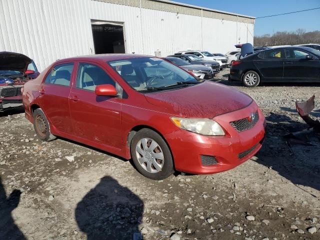 2009 Toyota Corolla Base