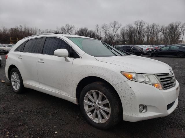 2010 Toyota Venza