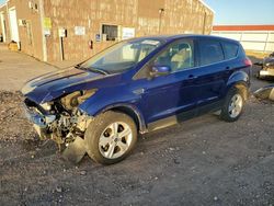 Ford Escape salvage cars for sale: 2016 Ford Escape SE