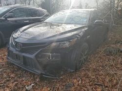 Toyota Camry salvage cars for sale: 2021 Toyota Camry SE