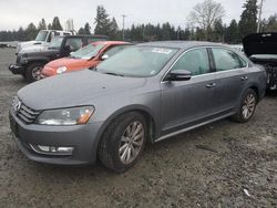 Volkswagen Passat salvage cars for sale: 2013 Volkswagen Passat SEL