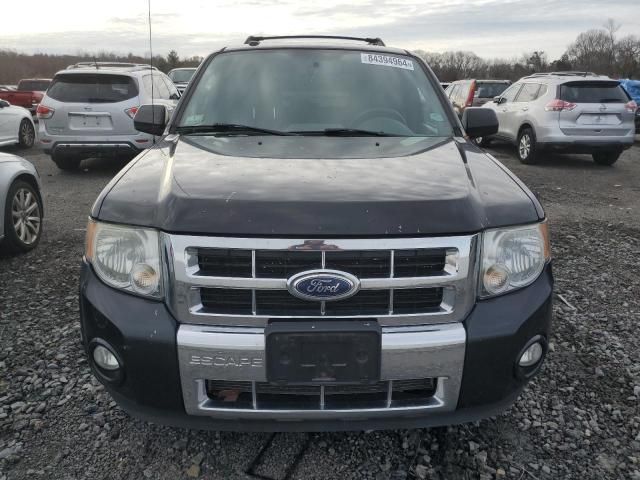 2011 Ford Escape Limited