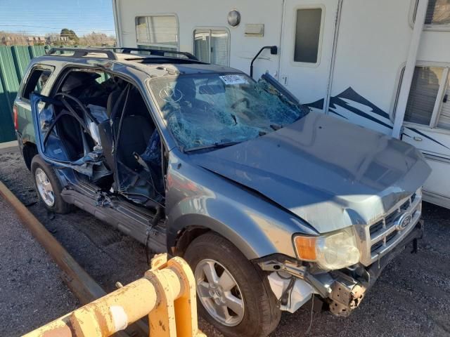 2010 Ford Escape XLT