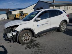 Ford salvage cars for sale: 2020 Ford Escape SE