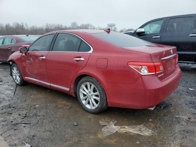 2010 Lexus ES 350