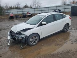 Ford salvage cars for sale: 2014 Ford Focus SE