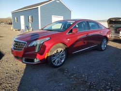 Cadillac xts salvage cars for sale: 2019 Cadillac XTS Luxury