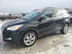 Ford Escape sel salvage cars for sale: 2013 Ford Escape SEL