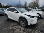 2015 Lexus NX 300H