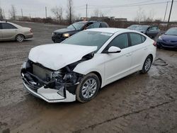 Hyundai Elantra salvage cars for sale: 2020 Hyundai Elantra SE