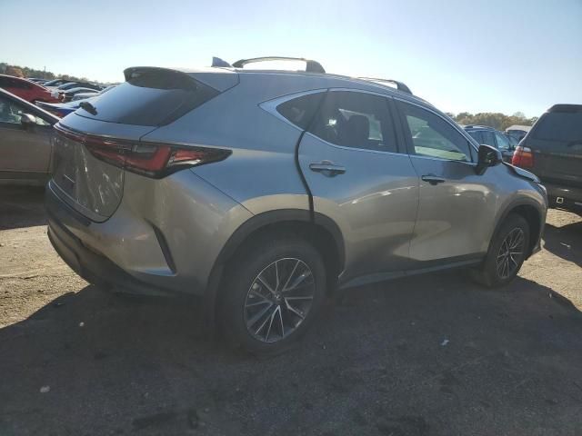 2025 Lexus NX 250 Premium