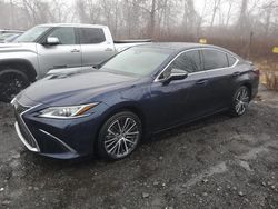 Lexus es300 salvage cars for sale: 2023 Lexus ES 300H Base