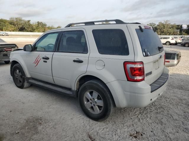 2009 Ford Escape XLT