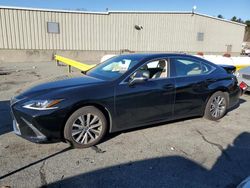 Lexus salvage cars for sale: 2021 Lexus ES 250 Base