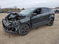 Ford Vehiculos salvage en venta: 2015 Ford Escape SE