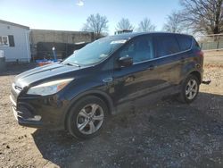 Ford salvage cars for sale: 2013 Ford Escape SE