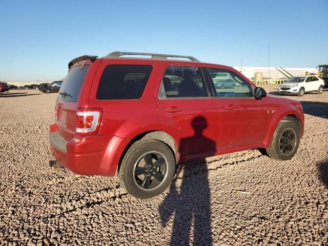 2009 Ford Escape XLT