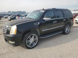 Cadillac Escalade salvage cars for sale: 2007 Cadillac Escalade Luxury