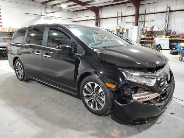 2023 Honda Odyssey EXL