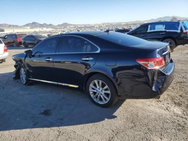 2010 Lexus ES 350