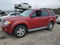 Ford Escape Vehiculos salvage en venta: 2010 Ford Escape XLT