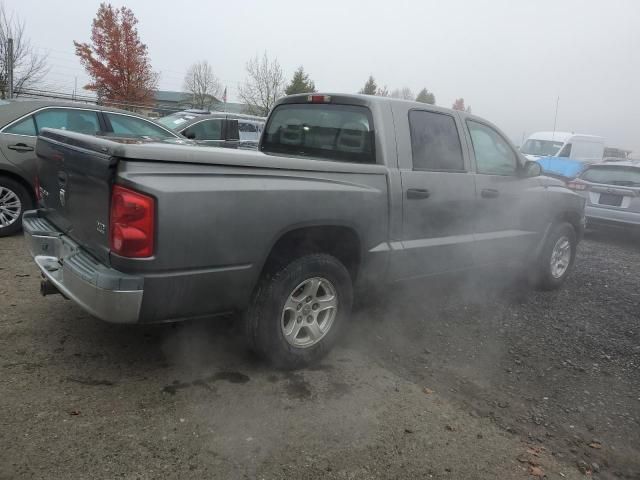 2005 Dodge Dakota Quad SLT