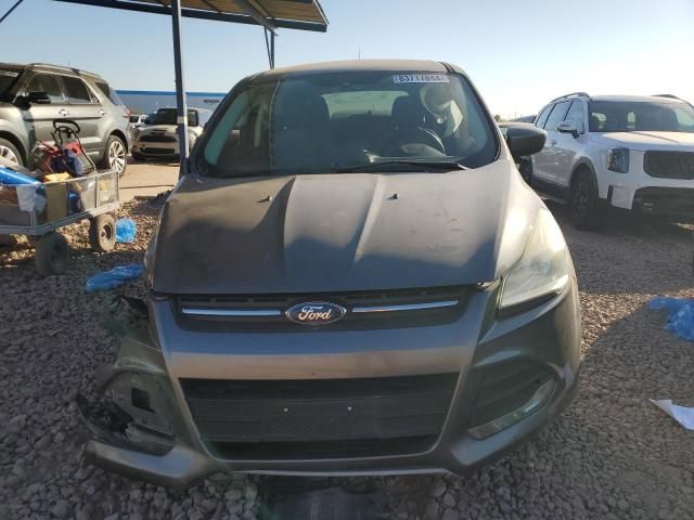 2013 Ford Escape SE