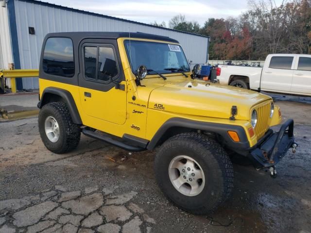 2002 Jeep Wrangler / TJ Sport