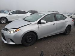 Toyota Corolla salvage cars for sale: 2016 Toyota Corolla L