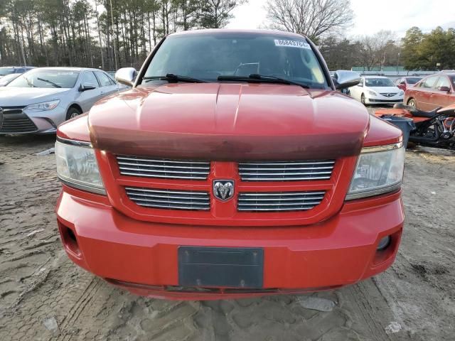 2008 Dodge Dakota SXT