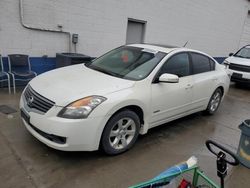 Nissan Altima salvage cars for sale: 2008 Nissan Altima Hybrid