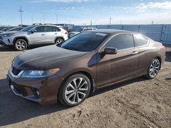 Honda Accord salvage cars for sale: 2013 Honda Accord EXL